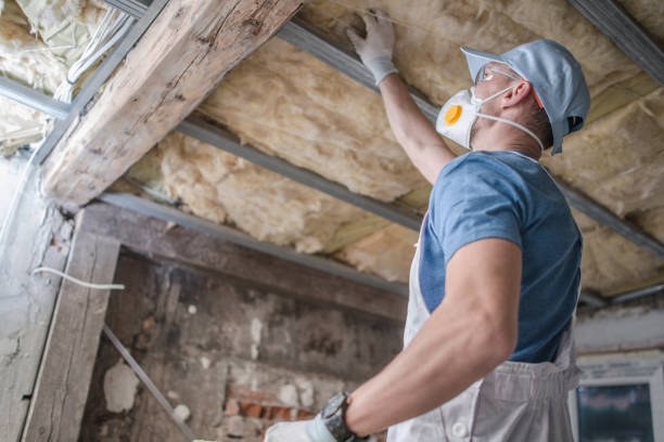 Best Insulation Materials and Products in Springtown, TX